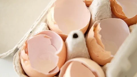 Stack of broken egg shells Stock Footage 78190729