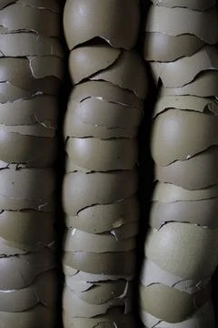 Stack of broken egg shells. Stock Photos