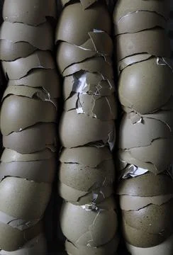 Stack of broken egg shells. Stock Photos