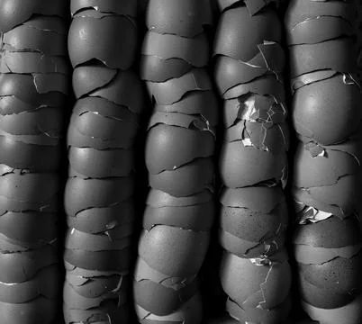Stack of broken egg shells. Stock Photos