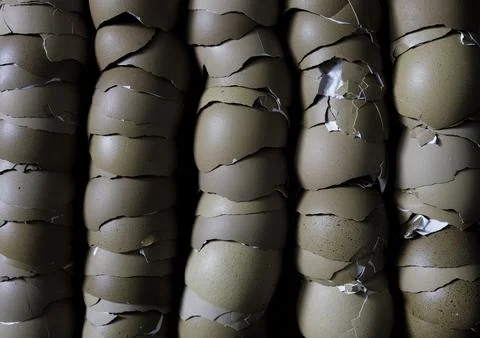 Stack of broken egg shells. 스톡 사진