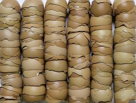 Stack of broken egg shells. 写真素材