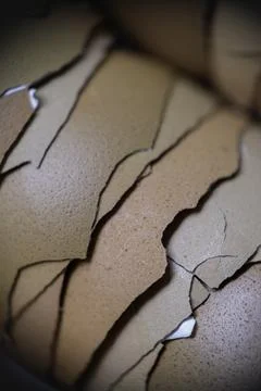 Stack of broken egg shells. Stock Photos