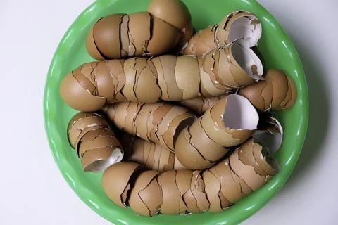 Stack of broken egg shells. Stock Photos