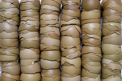Stack of broken egg shells. Stock Photos