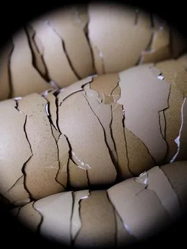 Stack of broken egg shells. Stock Photos