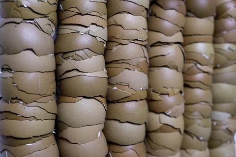 Stack of broken egg shells. Stock Photos