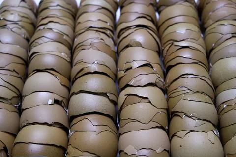 Stack of broken egg shells. Stock Photos