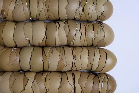 Stack of broken egg shells. Stock Photos