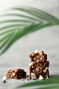 Stack of a brownie pieces on a grey table with gray background and palm. Stock Photos