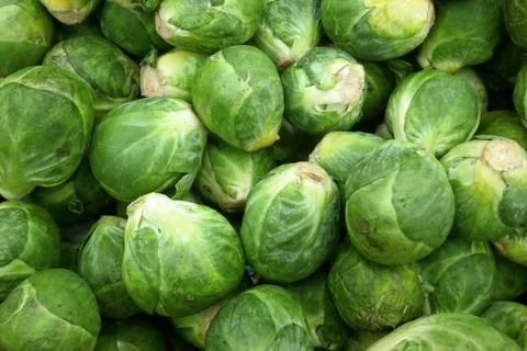 Stack of brussels sprouts on a market stall 스톡 사진