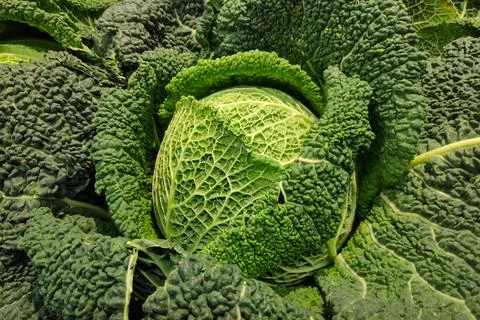 Stack of cabbages on a market stall Stock Photos