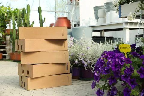 Stack of cardboard boxes and beautiful blooming plants in garden center Stock Photos