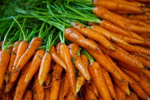 Stack of carrots on a market stall Stock Photos