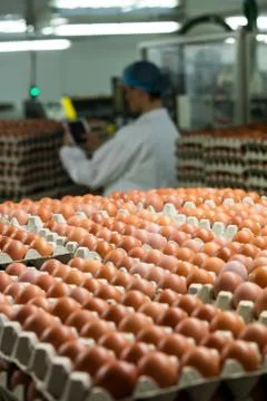 Stack of cartons with eggs Stock Fotos