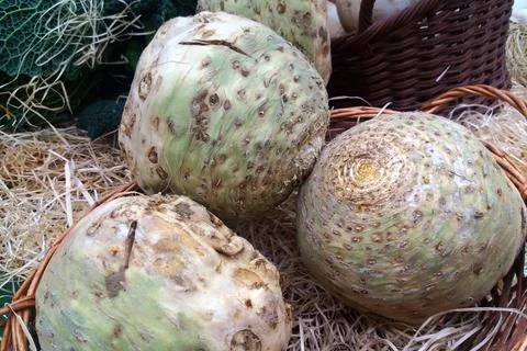 Stack of Celeriacs on a market stall 스톡 사진