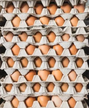 The stack of chickens egg as background Stock Photos