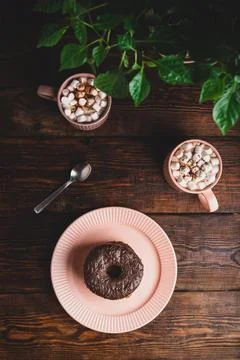 Stack of Chocolate Donuts and Hot Chocolate with Marshmallow Stock Photos