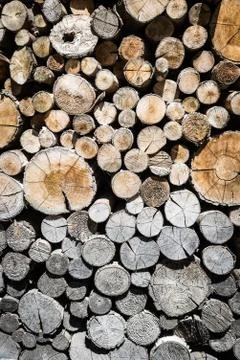 Stack of a chopped and aged wood Stock Photos