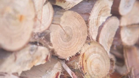 Stack of chopped fire wood Stock Footage 76103188