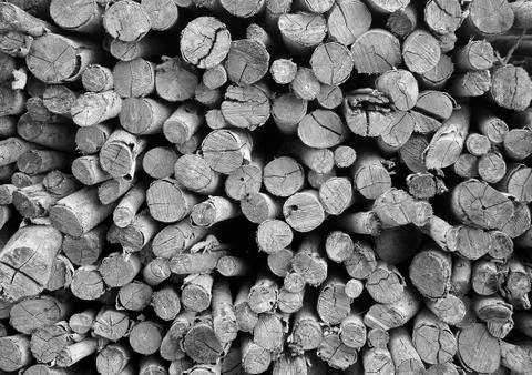 The stack of chopped fire wood Stock Photos