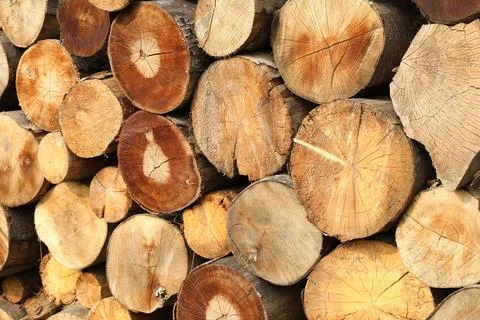 Stack of chopped firewood as background, closeup 스톡 사진
