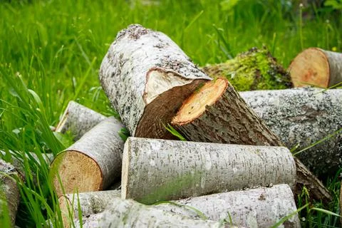 Stack of chopped firewood. Eco-friendly bio fuel. Woodpile near village house Stock Photos