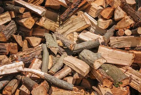 Stack of chopped firewood with green moss and wood splinters Stock Photos