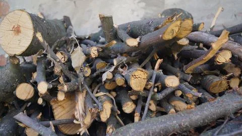 Stack of Chopped Firewood Logs and Branches Stock Photos