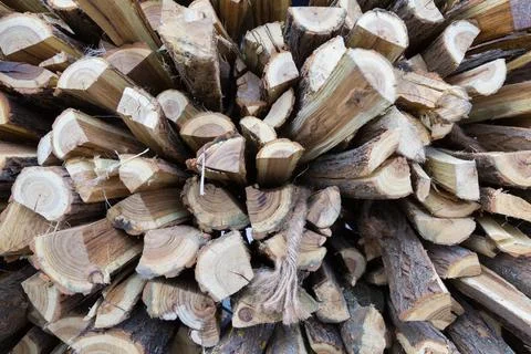 Stack of Chopped Firewood 库存照片