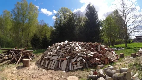 Stack chopped  firewood in spring in  yard,  time lapse Stock Footage 259406191