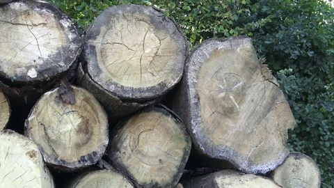 Stack of chopped firewood. Timber industry. Stock Footage 80186289