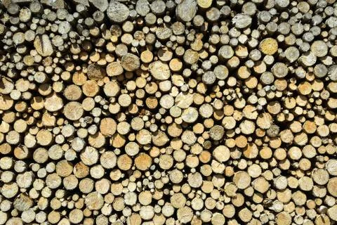 Stack of chopped wood Foto stock