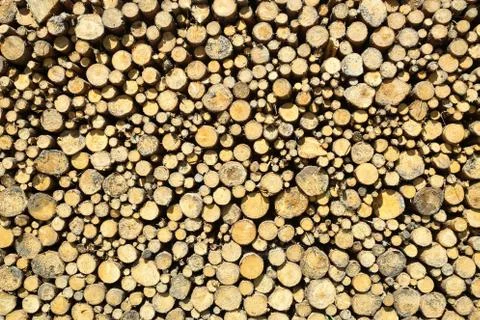 Stack of chopped wood Stock Photos