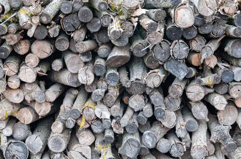 Stack of chopped wood prepared for winter Stock Photos