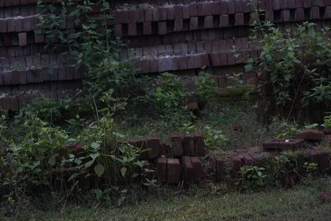 Stack of clay bricks arranged neatly at a construction site, Stock Photos