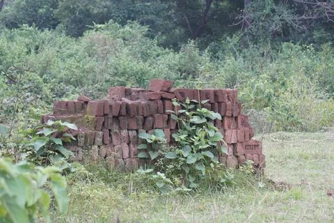 Stack of clay bricks arranged neatly at a construction site, Фото