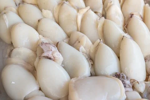 Stack of clean common Sepia sold at market Photos