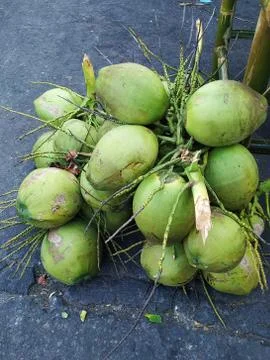 Stack the coconut in the market. Stock Photos