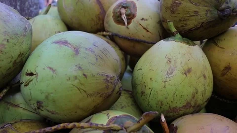 Stack of coconuts Stock Footage 70516558