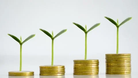 Stack coin with tree stop motion. Stock Footage 232920417