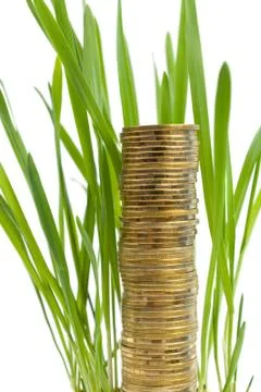 Stack of coins like the grass growing Stock Photos