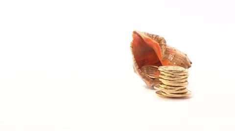 A stack of coins near the shell. Scanty savings for summer vacation. Stop motion Stock Footage 68388088