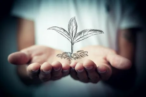 Stack of coins with plants representing growth Stock Photos