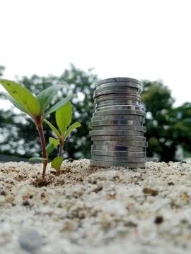 Stack of Coins on Sand Beside Small Plant Growing from the Ground Stock Photos
