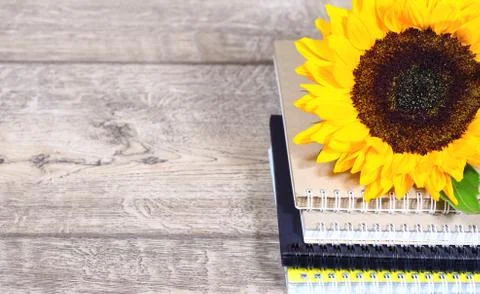Stack of colourful notebooks with spiral edge Stock Photos