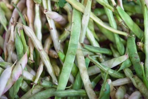 Stack of Common beans on a market stall Stock Photos