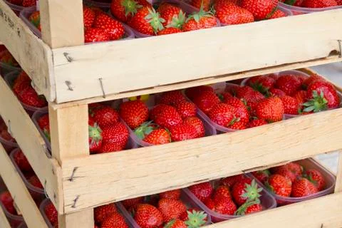 Stack of containers filled with freshly picked organic raspberries Stock Photos