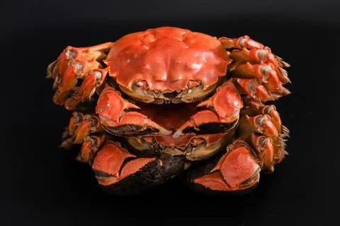 Stack of cooked red crabs on black background Stock Photos