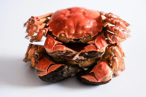 Stack of cooked red crabs on white background Stock Photos
